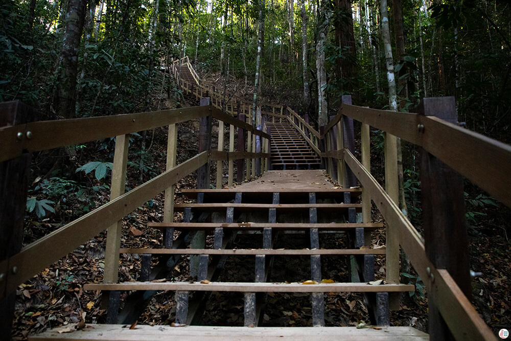 Khao Ngon Nak Hiking Trail (aka Dragon Crest) stairs, Krabi, Thailand