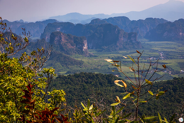 Khao Ngon Nak Hiking Trail (aka Dragon Crest), Krabi, Thailand