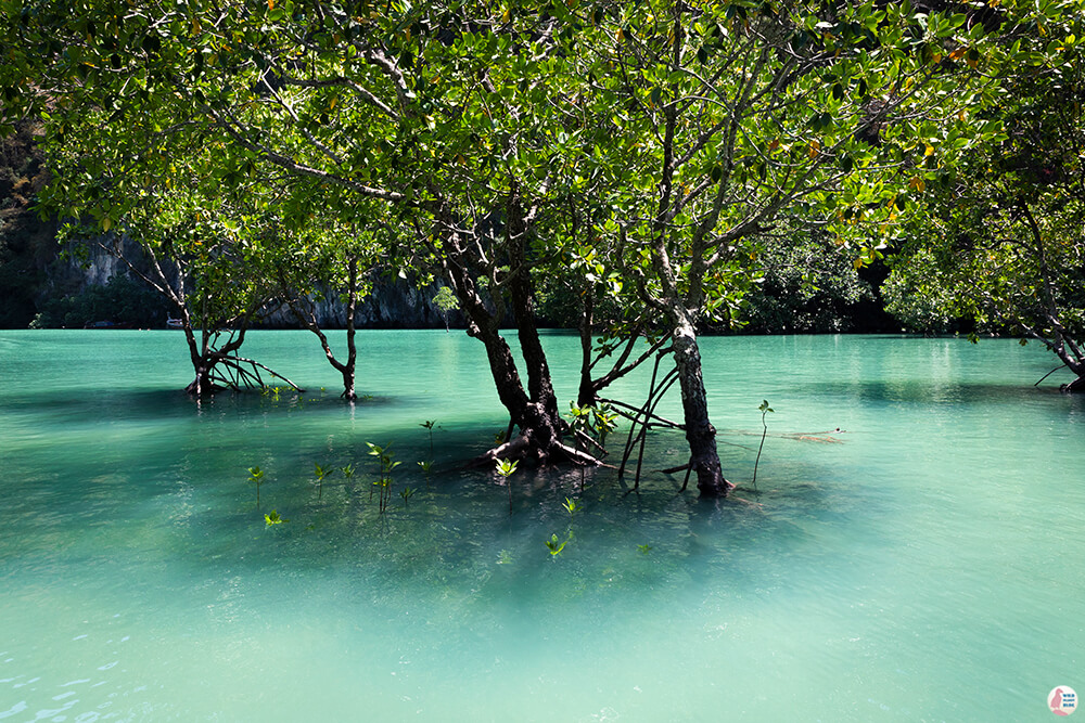 Hong Island Lagoon, Hong Islands, Krabi Province, Thailand