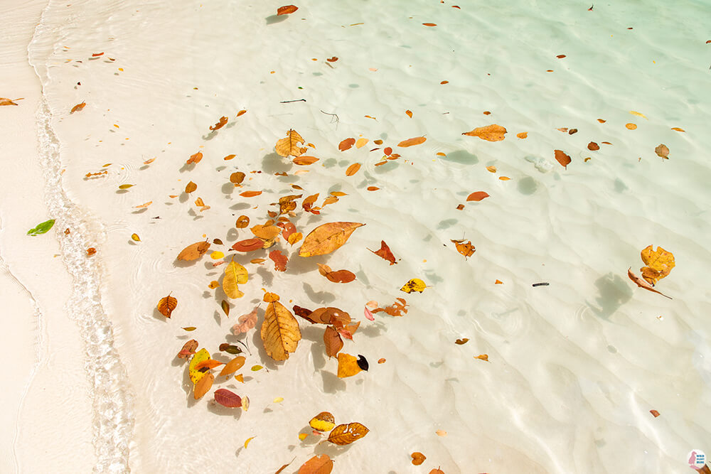 Crystal clear water and white sandy beach on Hong Island, Krabi, Thailand