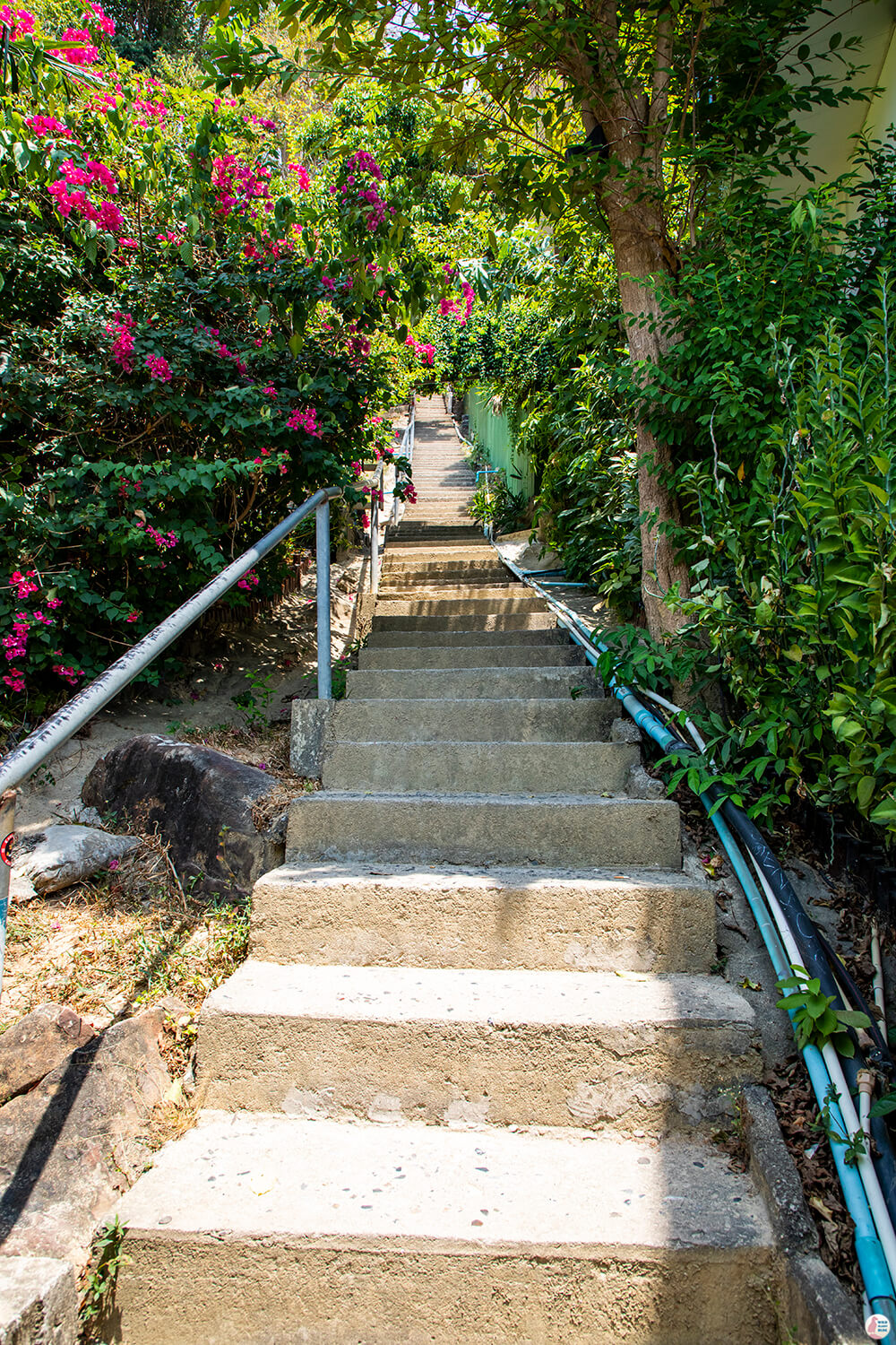 Stairs leading to Viewpoint 2 on Ko Phi Phi Don, Phi Phi Islands