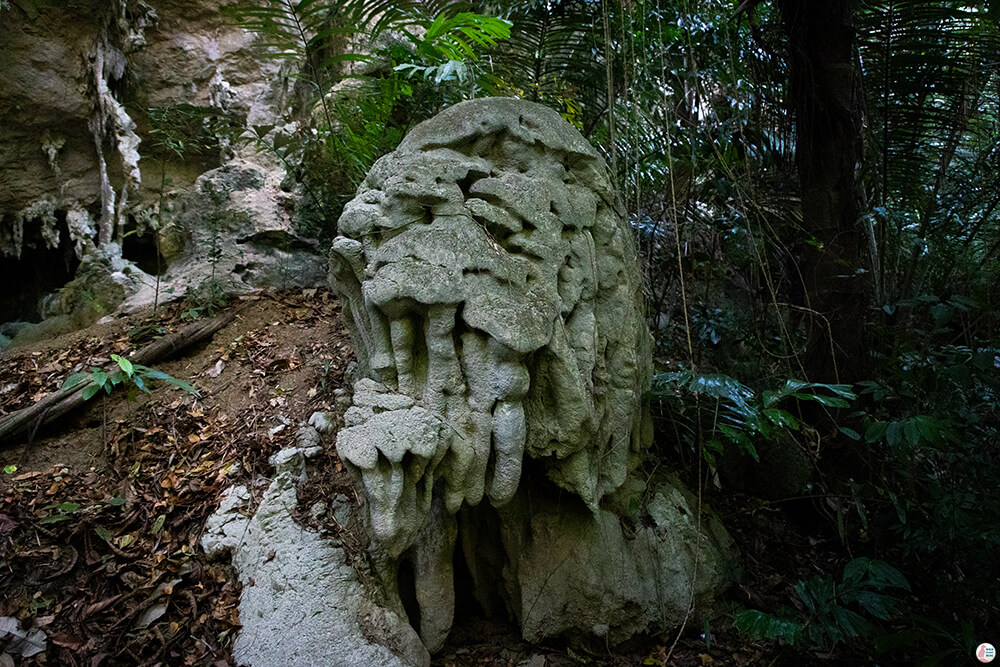 Limestone formation at Gibbon Roof, Railay Bay, Krabi, Thailand