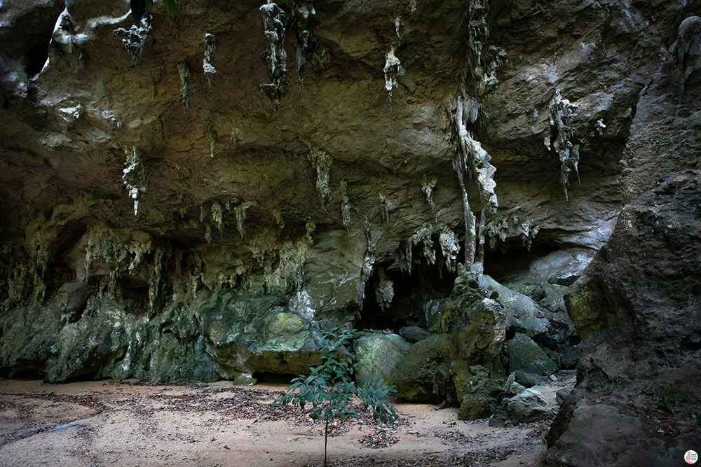 Limestone formation at Gibbon Roof, Railay Bay, Krabi, Thailand