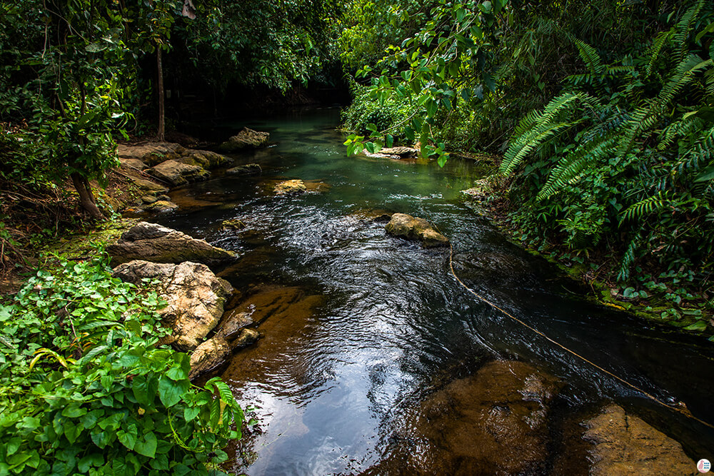 Klong Srakaew River, Than Bok Khorani National Park, Krabi, Thailand