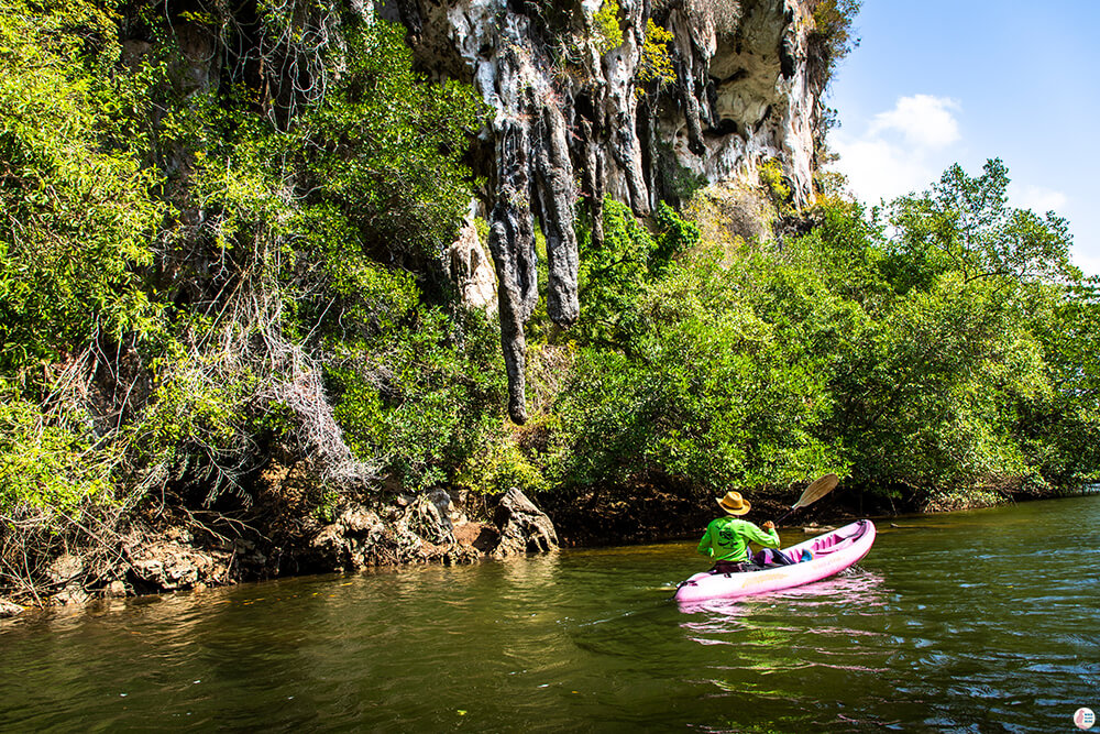 Limestone cliffs along Tha Pring River, Than Bok Khorani National Park, Krabi, Thailand