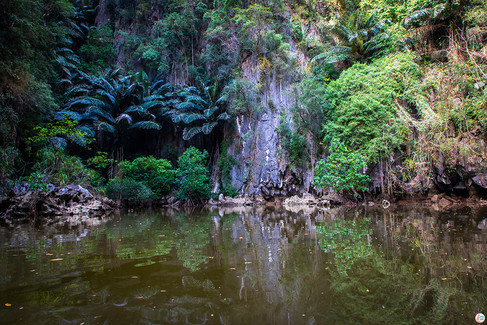 Lagoon on the Tha Pring River, Than Bok Khorani National Park, Krabi, Thailand