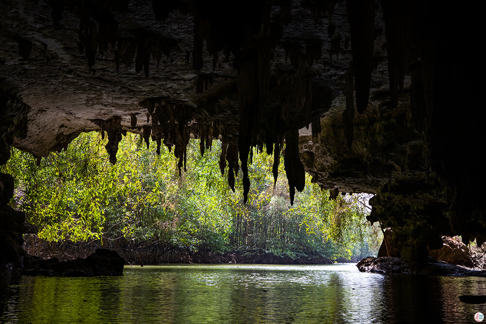  Lot Cave, on Tha Pring River in Than Bok Khorani National Park, Krabi, Thailand