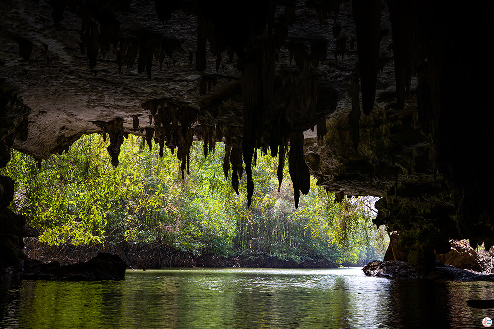 Lot Cave, on Tha Pring River in Than Bok Khorani National Park, Krabi, Thailand