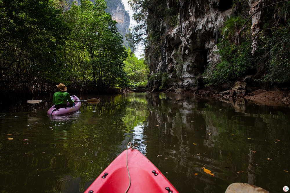 One Day Kayaking on the Tha Pring River in Than Bok Khorani National Park, Krabi, Thailand