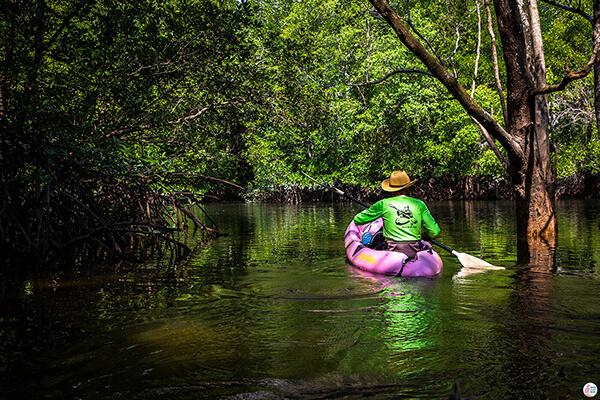 One Day Kayaking in Than Bok Khorani National Park, Krabi, Thailand